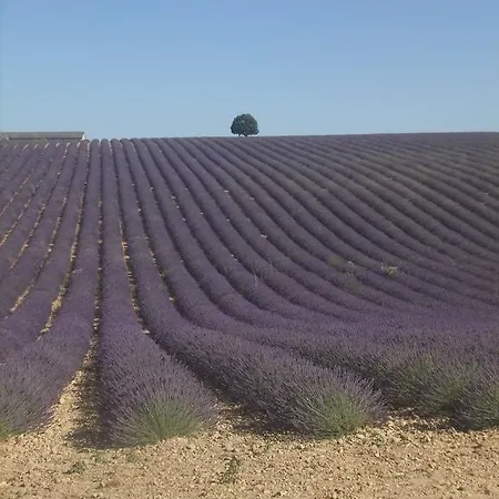 Des Aludes
